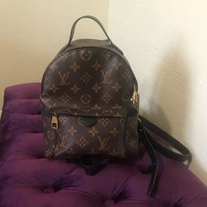 Louis Vuitton Palm Spring backpack